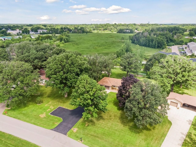 440 Oak Ln, Norwood Young America, MN 55397 - photo 48