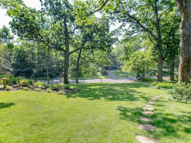 8218 Oakmere Rd, Bloomington, MN 55438 - photo 8