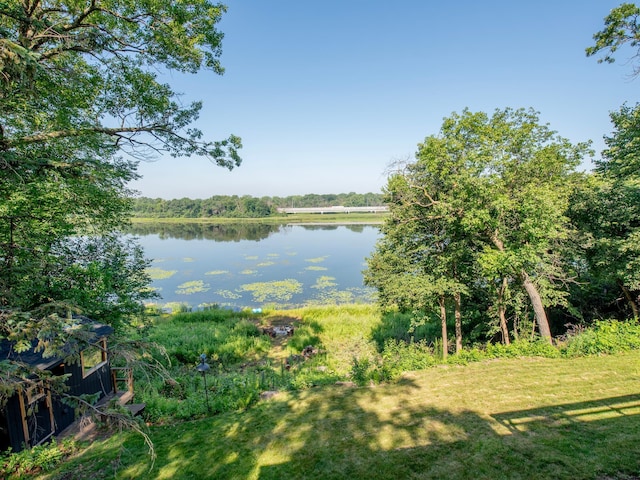 8218 Oakmere Rd, Bloomington, MN 55438 - photo 45