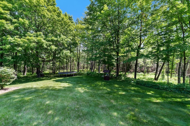 3069 Lismore Rd, Duluth, MN 55804 - photo 25
