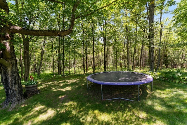 3069 Lismore Rd, Duluth, MN 55804 - photo 28