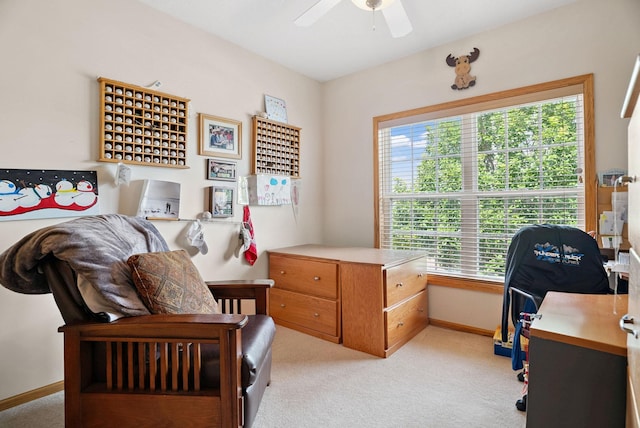 13880 Birchwood Ave, Rosemount, MN 55068 - photo 20