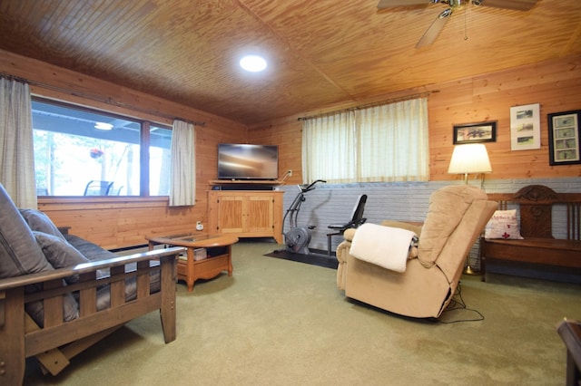 2975 Long Lake Rd, Danbury, WI 54830 - photo 32