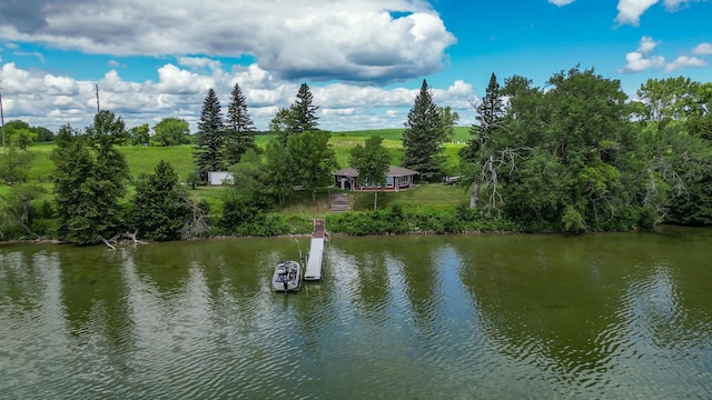 40414 Cliff Rd, Clitherall Twp, MN 56524 - photo 6