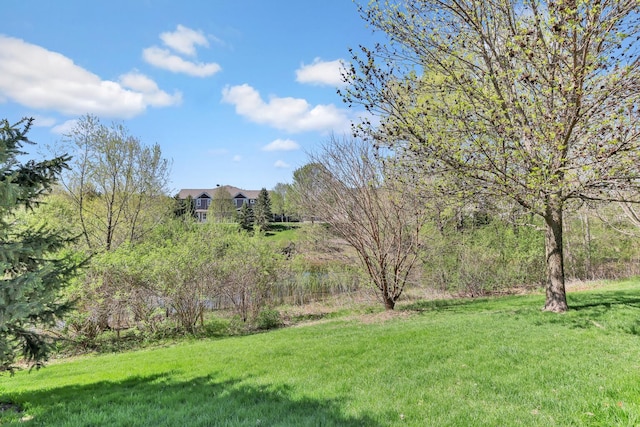 3449 Maureen Ln, Stillwater, MN 55082 - photo 9
