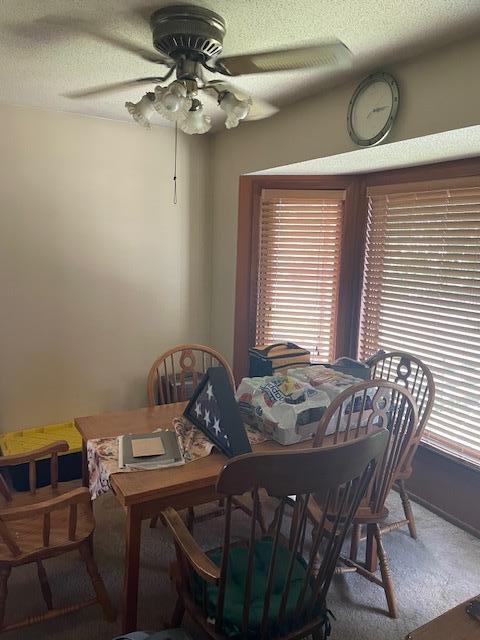 5038 Upper 182nd St W, Farmington, MN 55024 - photo 10