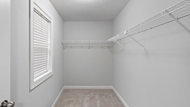 15365 Eagle Creek Way, Apple Valley, MN 55124 - photo 30