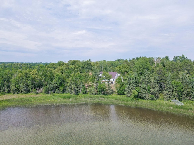 25753 Inglewood Dr, Park Rapids, MN 56470 - photo 6