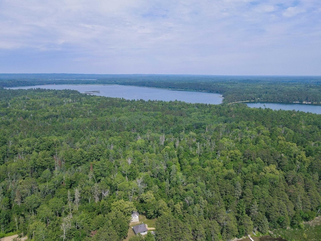 25753 Inglewood Dr, Park Rapids, MN 56470 - photo 9