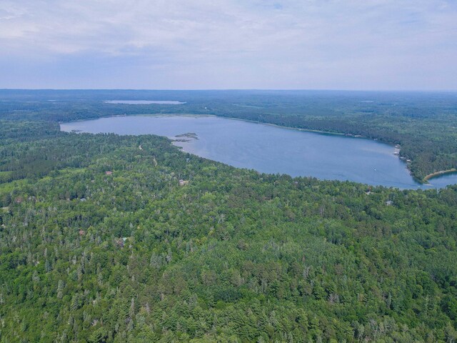 25753 Inglewood Dr, Park Rapids, MN 56470 - photo 13