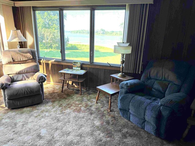 19935 Dodd Rd, Cordova Twp, MN 56052 - photo 5