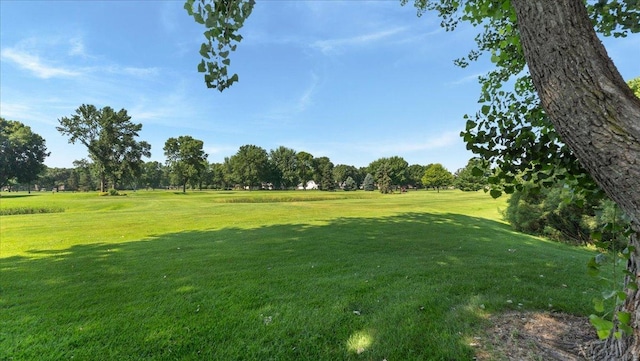 245 Park Ave S Unit 206, Saint Cloud, MN 56301 - photo 6