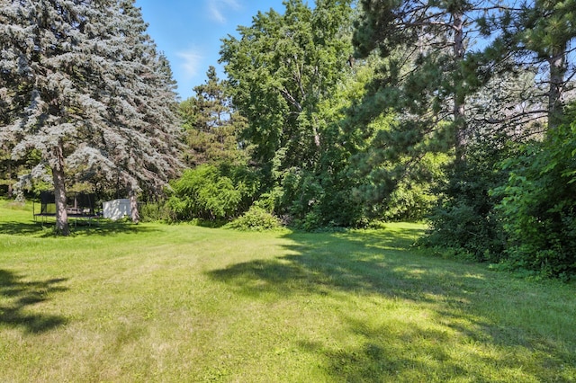 2911 Troseth Rd, Roseville, MN 55113 - photo 3