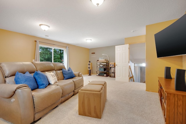 520 2nd St S, Montrose, MN 55363 - photo 24