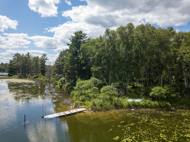 22510 Spider Is, Nevis, MN 56467 - photo 2