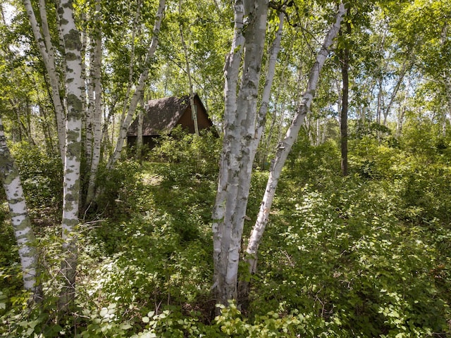 22510 Spider Is, Nevis, MN 56467 - photo 4