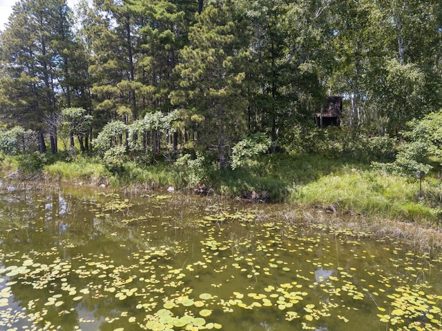 22510 Spider Is, Nevis, MN 56467 - photo 5