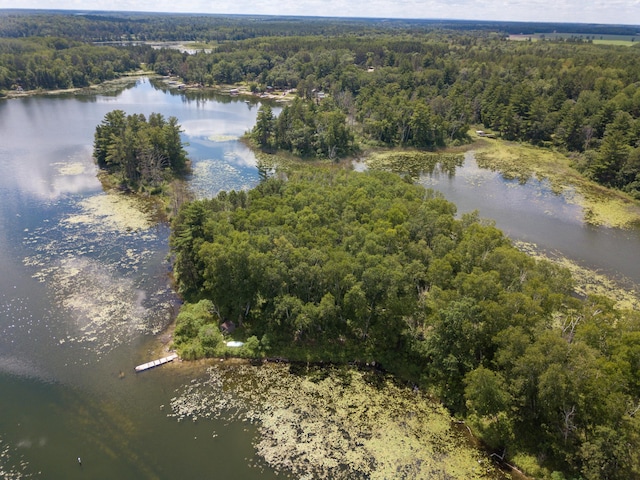 22510 Spider Is, Nevis, MN 56467 - photo 6