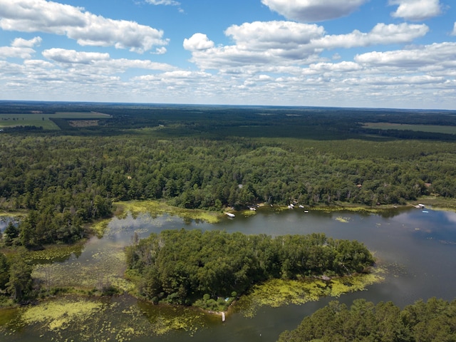 22510 Spider Is, Nevis, MN 56467 - photo 7