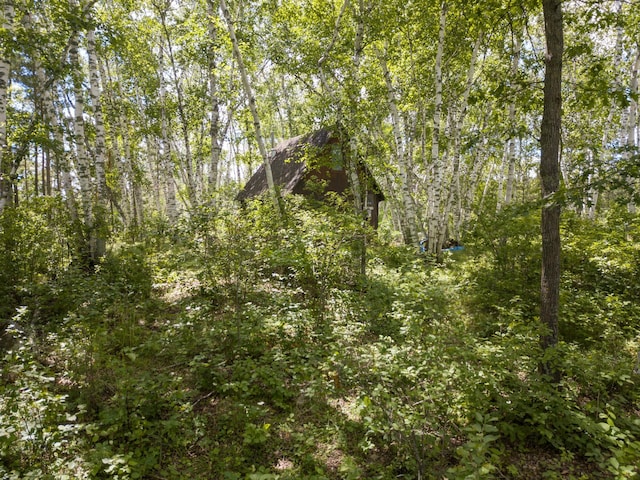 22510 Spider Is, Nevis, MN 56467 - photo 8