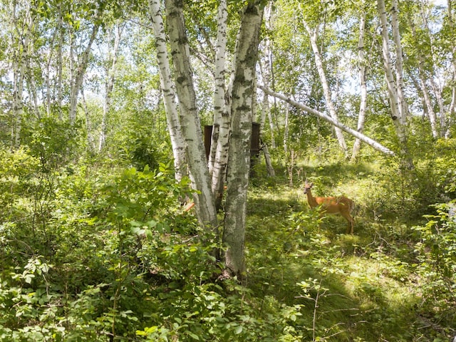 22510 Spider Is, Nevis, MN 56467 - photo 9