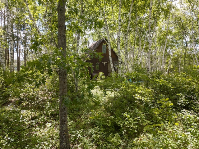 22510 Spider Is, Nevis, MN 56467 - photo 10