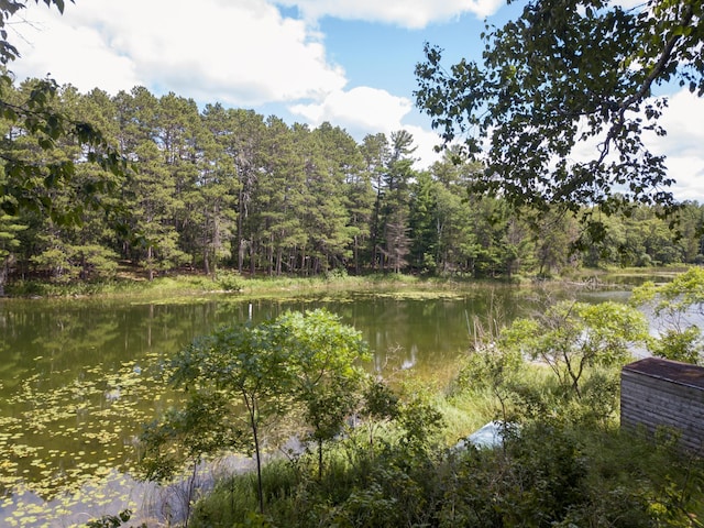 22510 Spider Is, Nevis, MN 56467 - photo 11