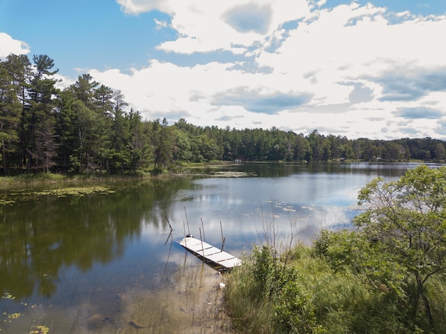 22510 Spider Is, Nevis, MN 56467 - photo 12
