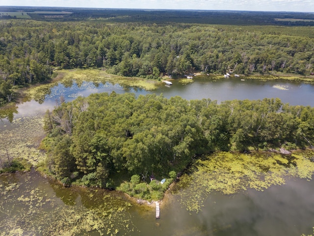 22510 Spider Is, Nevis, MN 56467 - photo 13