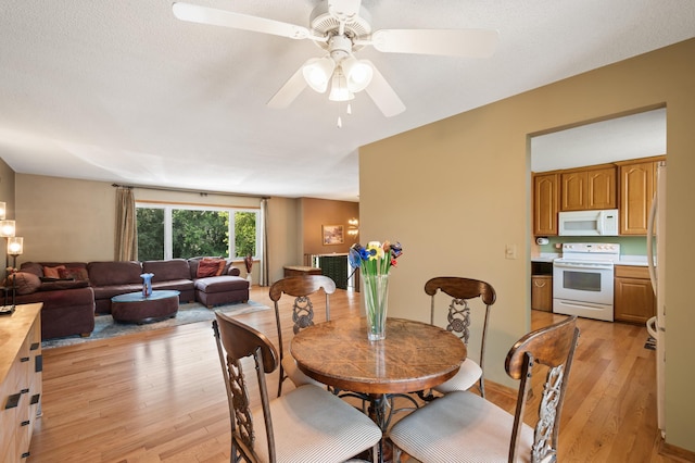 10052 Nesbitt Ave S, Bloomington, MN 55437 - photo 11