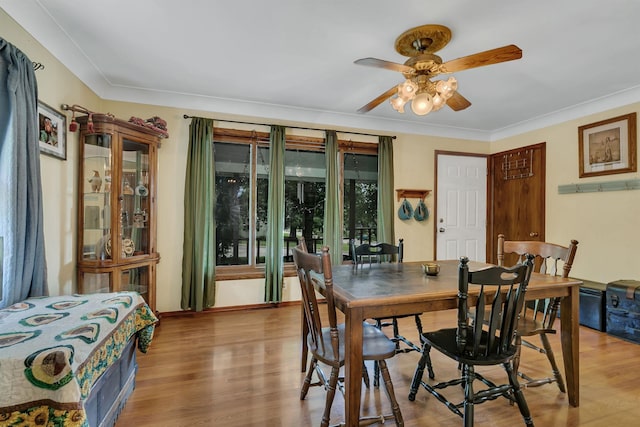 401 2nd St S, Sauk Rapids, MN 56379 - photo 10