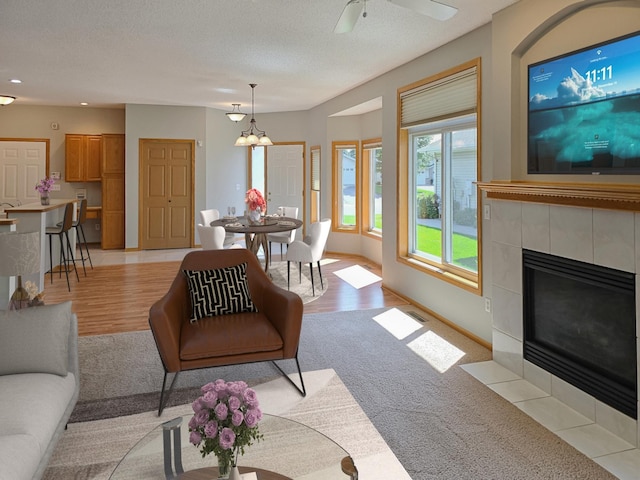 7080 98th St S, Cottage Grove, MN 55016 - photo 5
