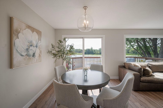9998 106th Pl N, Maple Grove, MN 55369 - photo 5