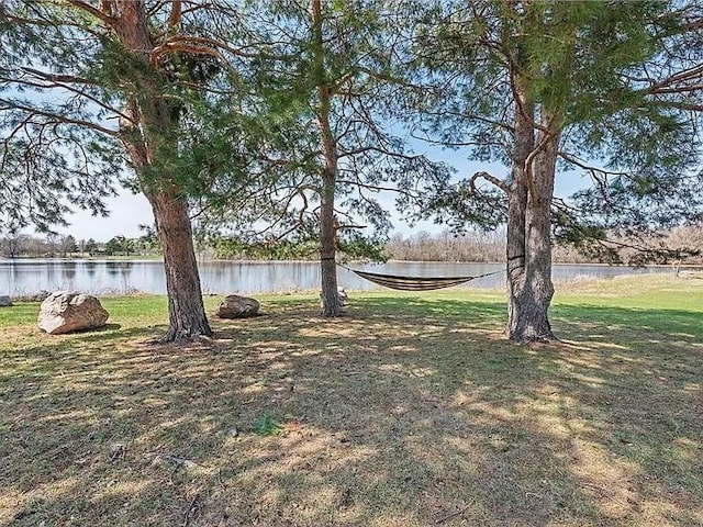 9998 106th Pl N, Maple Grove, MN 55369 - photo 36