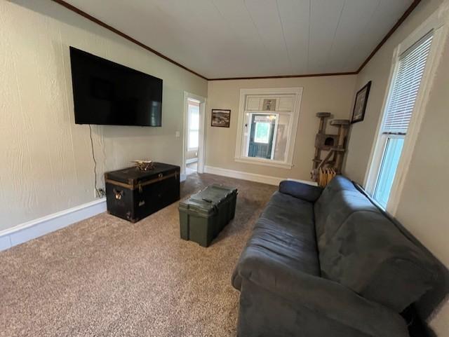 237 5th St N, Brownton, MN 55312 - photo 6