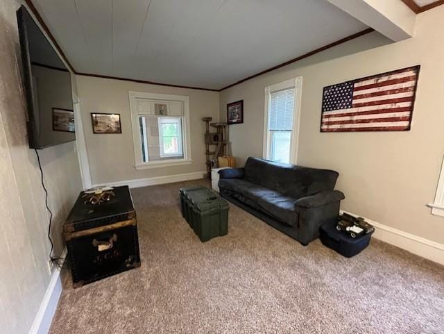 237 5th St N, Brownton, MN 55312 - photo 7