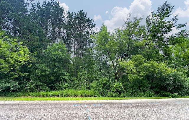 60- Park Ave, Cloquet, MN 55720 - photo 30