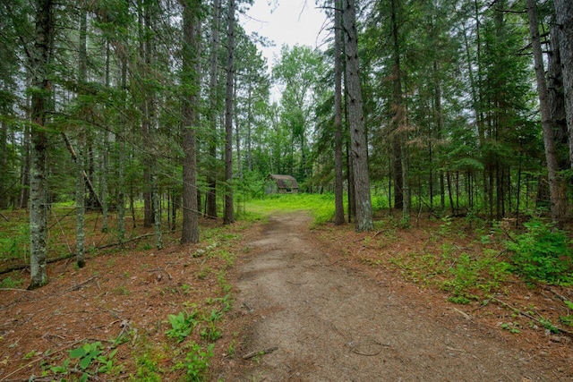 3557 Haverkamp Rd, Hibbing, MN 55746 - photo 52