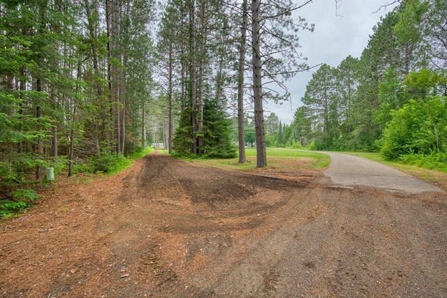 3557 Haverkamp Rd, Hibbing, MN 55746 - photo 65