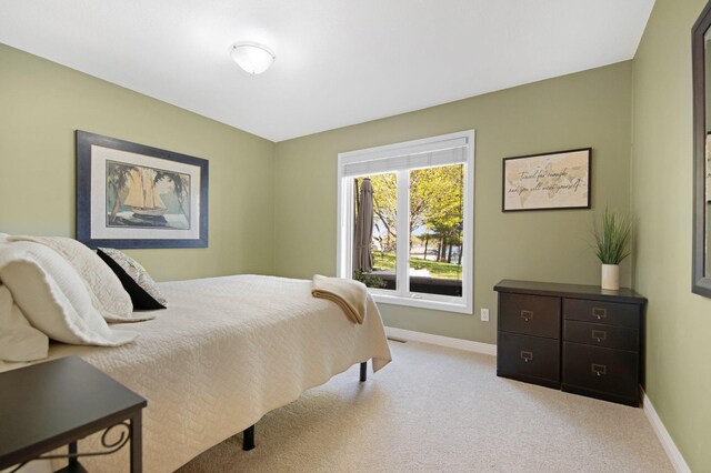 11507 42nd St SE, Palmer Twp, MN 55319 - photo 21
