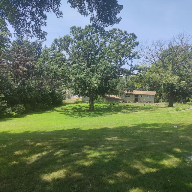 2220 James Ct, Eagan, MN 55122 - photo 4