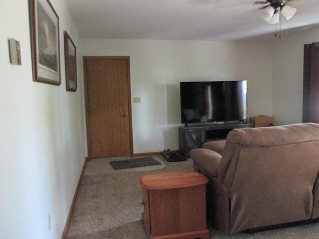 203 Trondheim Rd, Kenyon, MN 55946 - photo 22