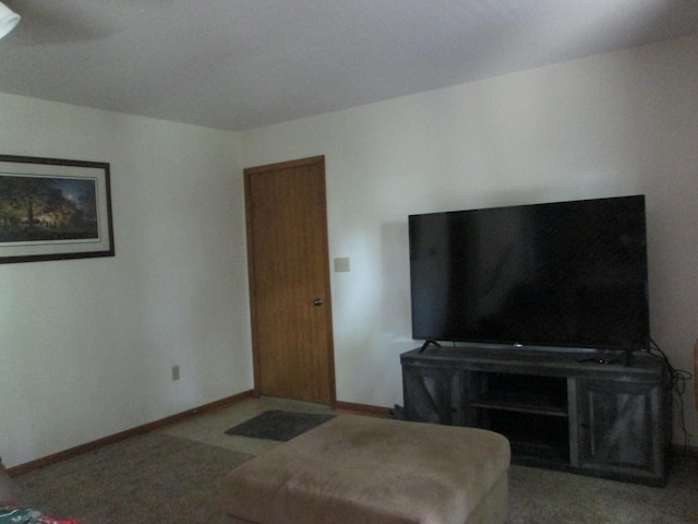 203 Trondheim Rd, Kenyon, MN 55946 - photo 25