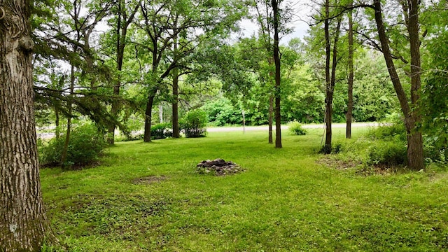 35022 125th Ave, Onamia, MN 56359 - photo 29