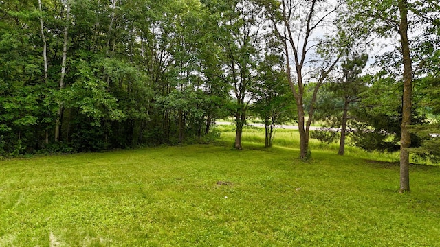 35022 125th Ave, Onamia, MN 56359 - photo 31