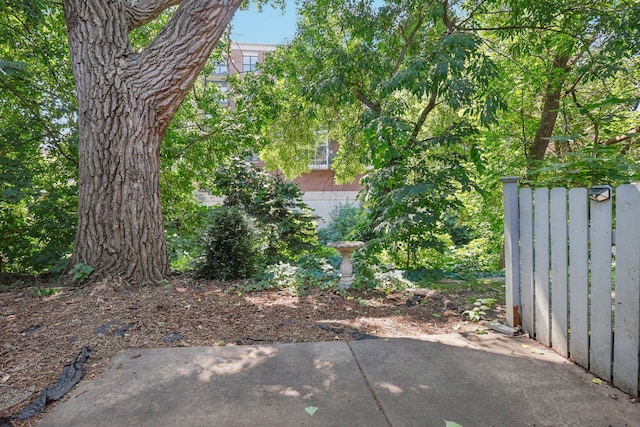 200 2nd St NE, Minneapolis, MN 55413 - photo 8