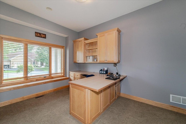 1203 Adrian Dr, Chaska, MN 55318 - photo 13