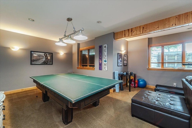 1203 Adrian Dr, Chaska, MN 55318 - photo 33