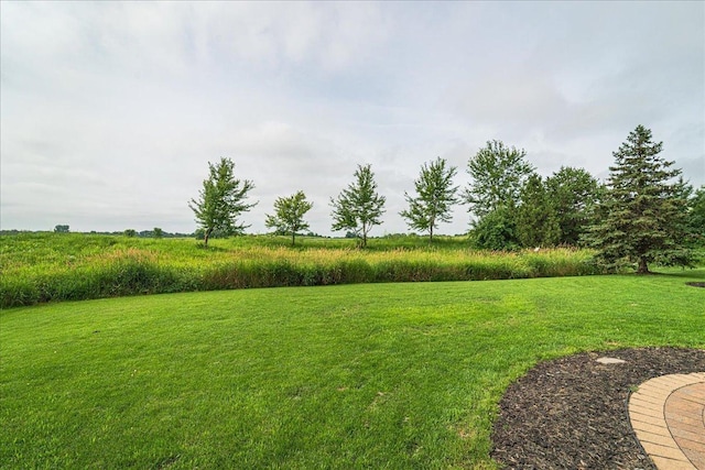 1203 Adrian Dr, Chaska, MN 55318 - photo 47