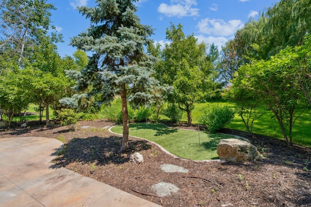 6294 Bluestem Rd S, Corcoran, MN 55340 - photo 92